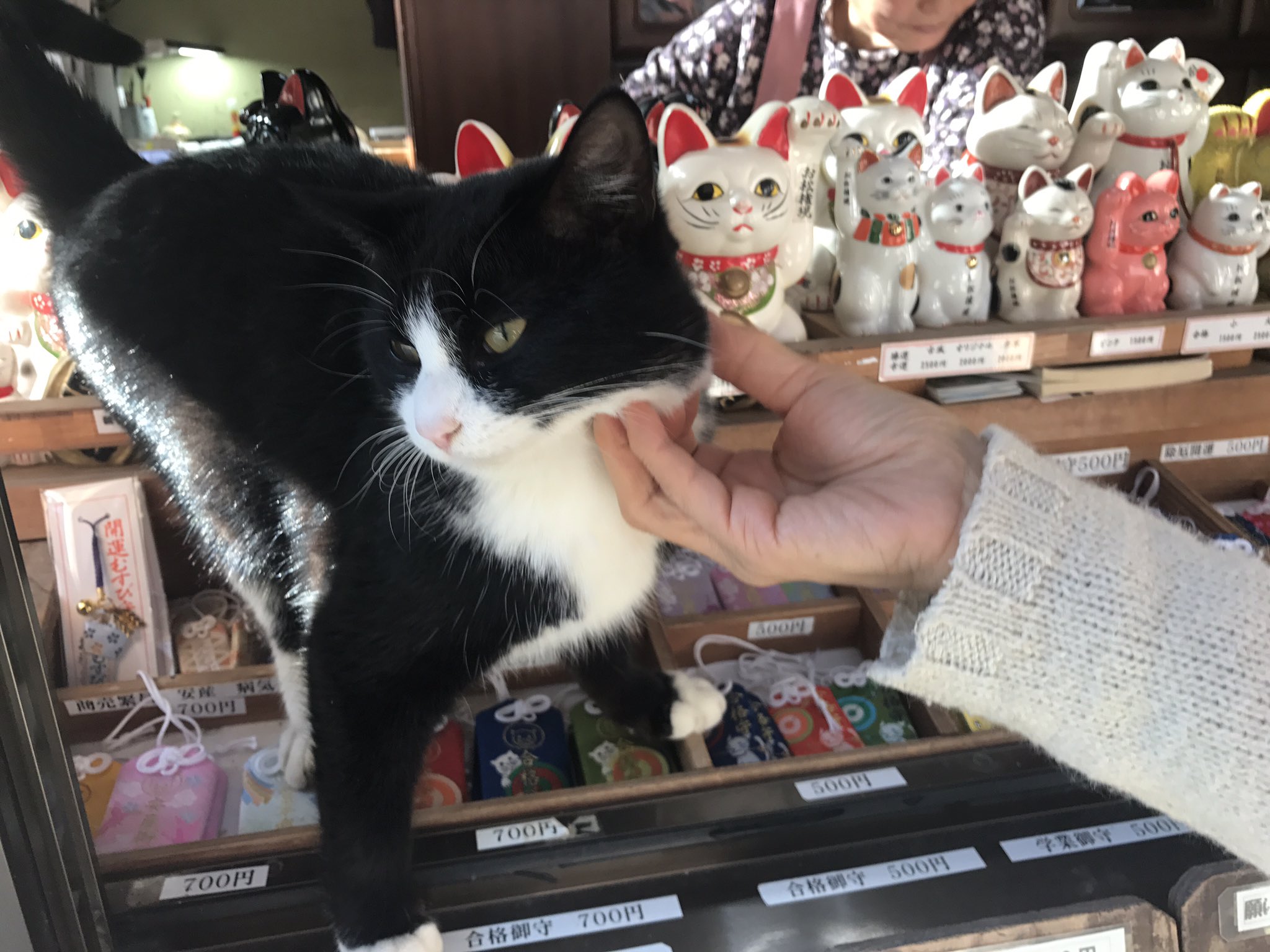 藤崎りく 徳島の猫神社お松大権現 狛犬ならぬ狛猫さんをはじめ 地蔵に石仏にと猫だらけ 猫好きにはたまりませんぞ 開運根付とブーさん用のお守り 自営の母用に仕事守りを買ってきました 藤崎りく 徳島の猫神社お松大権現 狛犬ならぬ狛猫さんをはじめ 地蔵に石仏にと猫だらけ 猫好きにはたまりませんぞ 開運根付とブーさん用のお守り 自営の母用に仕事守りを買ってきました
