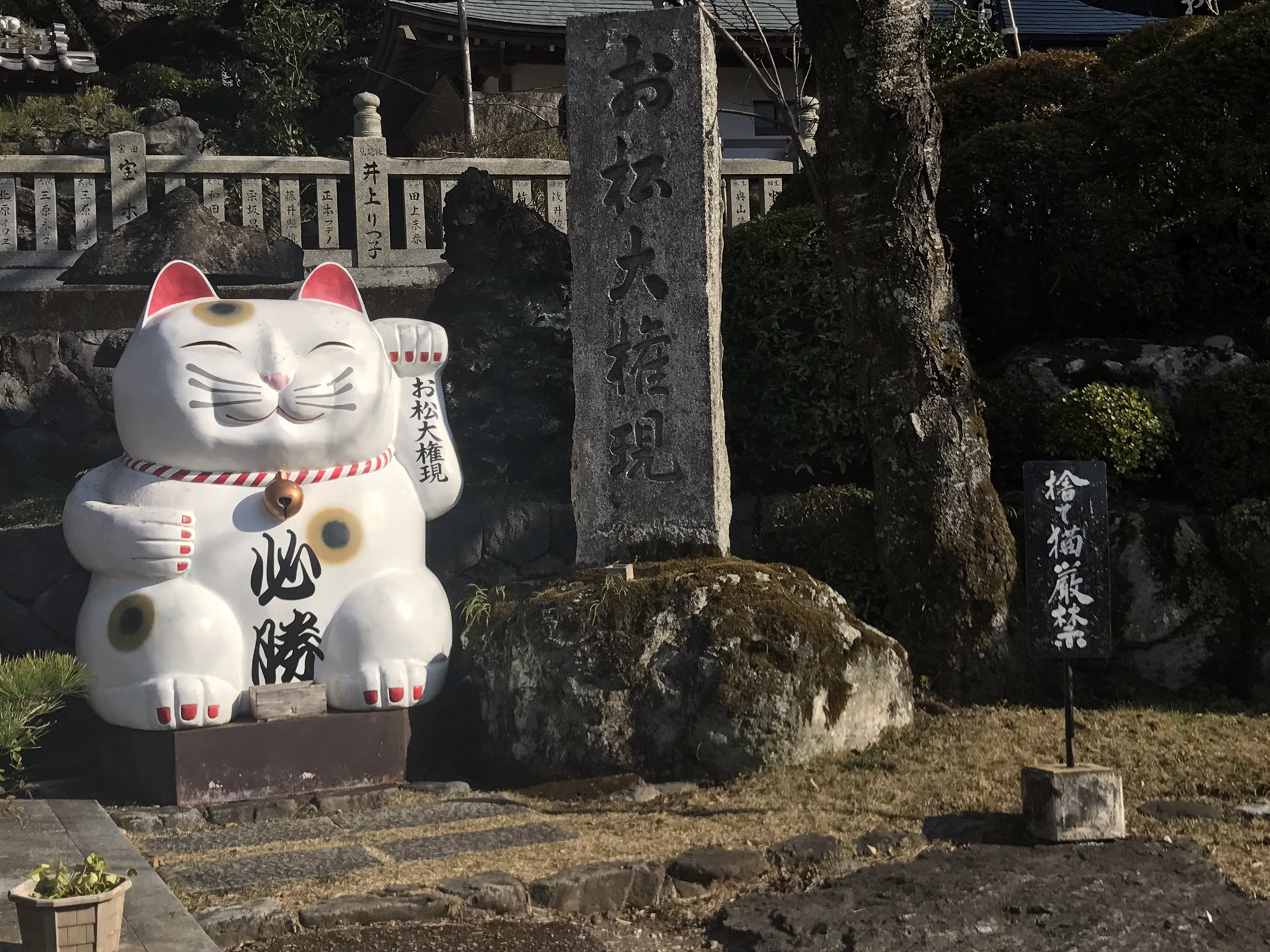 藤崎りく 徳島の猫神社お松大権現 狛犬ならぬ狛猫さんをはじめ 地蔵に石仏にと猫だらけ 猫好きにはたまりませんぞ 開運根付とブーさん用のお守り 自営の母用に仕事守りを買ってきました お守りも猫マーク入りでこれまたたまらん 藤崎りく 徳島の猫神社お松大権現 狛犬ならぬ狛猫さんをはじめ 地蔵に石仏にと猫だらけ 猫好きにはたまりませんぞ 開運根付とブーさん用のお守り 自営の母用に仕事守りを買ってきました お守りも猫マーク入りでこれまたたまらん