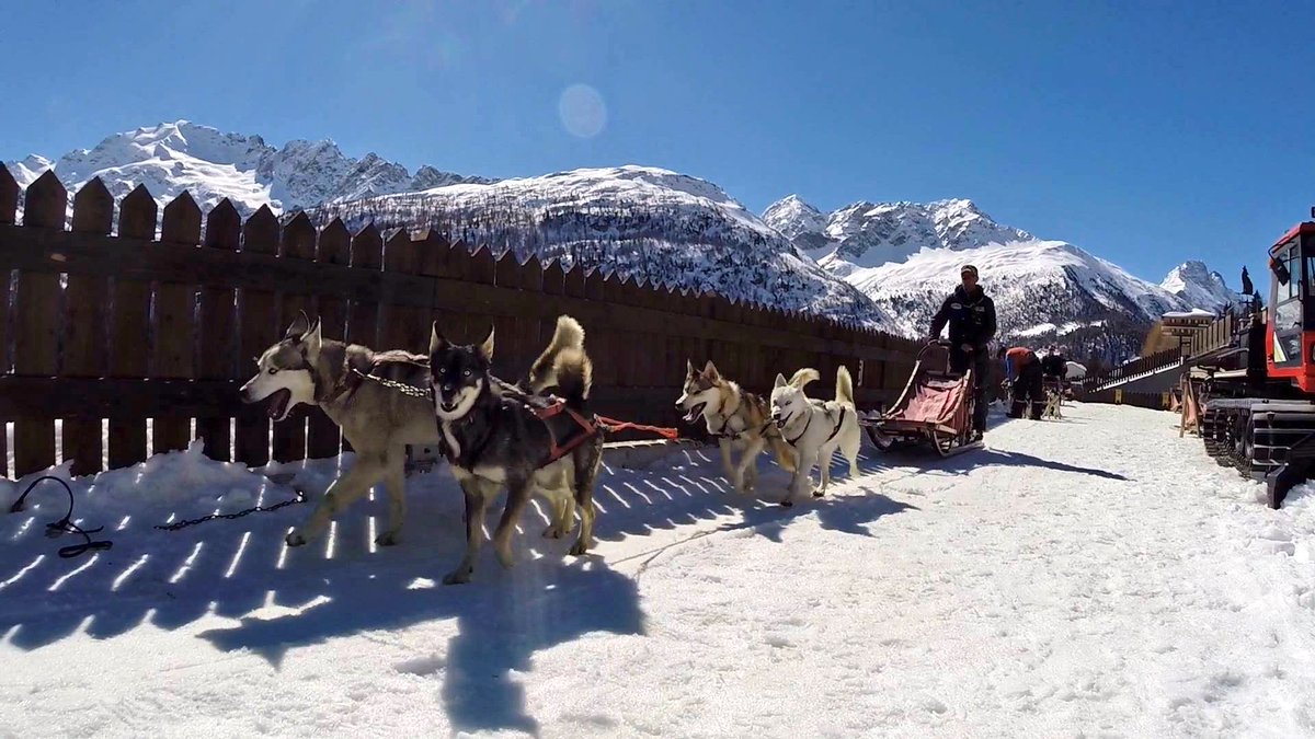 viaggiaescopri's tweet photo. Uno dei miei ricordi più belli di #WinterinLombardia è legato a #Arnoga, una slitta e quattro Husky simpaticissimi... ma quanto tirano? 😂
Ne ho parlato qui —> https://t.co/kJ497vaC5V 
#inLombardia @inLOMBARDIA #Lombardia #Bormio #Valtellina https://t.co/c3T1QdvXch