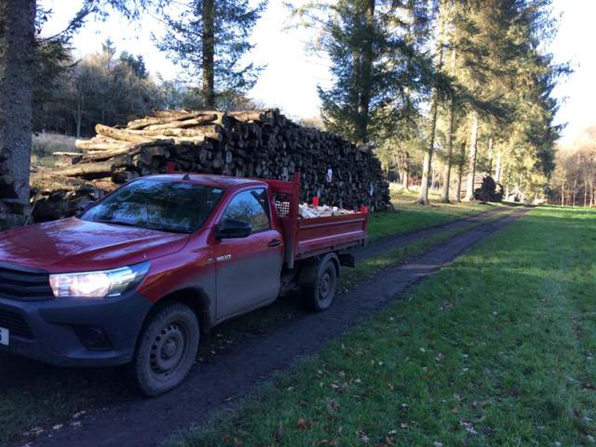 Brit-Tipp tweet media