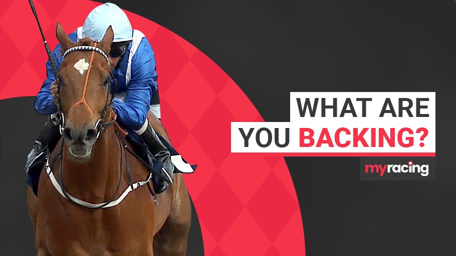 myracingtips's tweet photo. Who's picked one today to add to their Christmas Kitty then?
One you don't think will be beaten? We'll you give your virtual £50 to back your #VirtualNAP!
Get them! 🤑🤑 https://t.co/vfmzKdrHBU