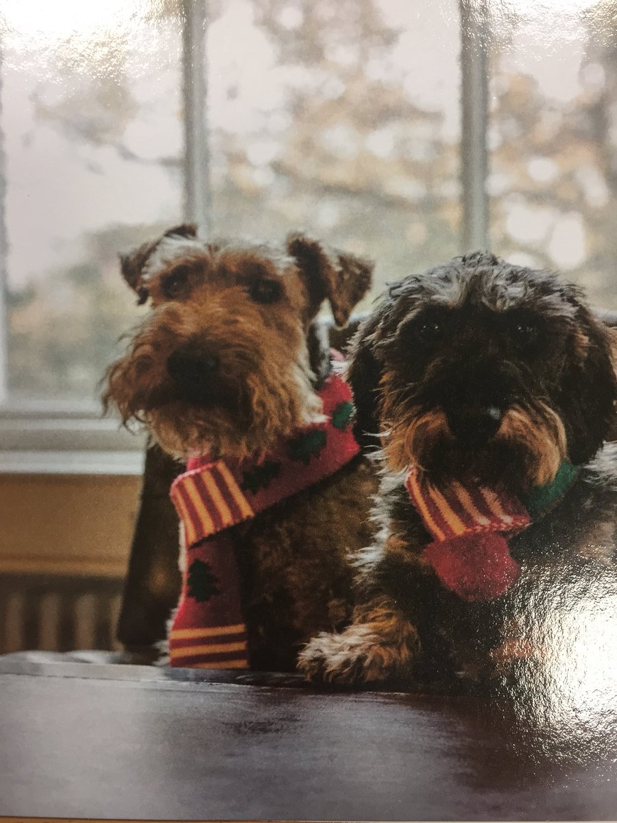 Thehackandhound tweet picture