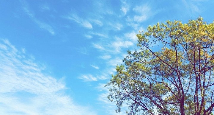 Muy buenos días amigos, disfruten de este día. Les deseo una excelente jornada laboral !!