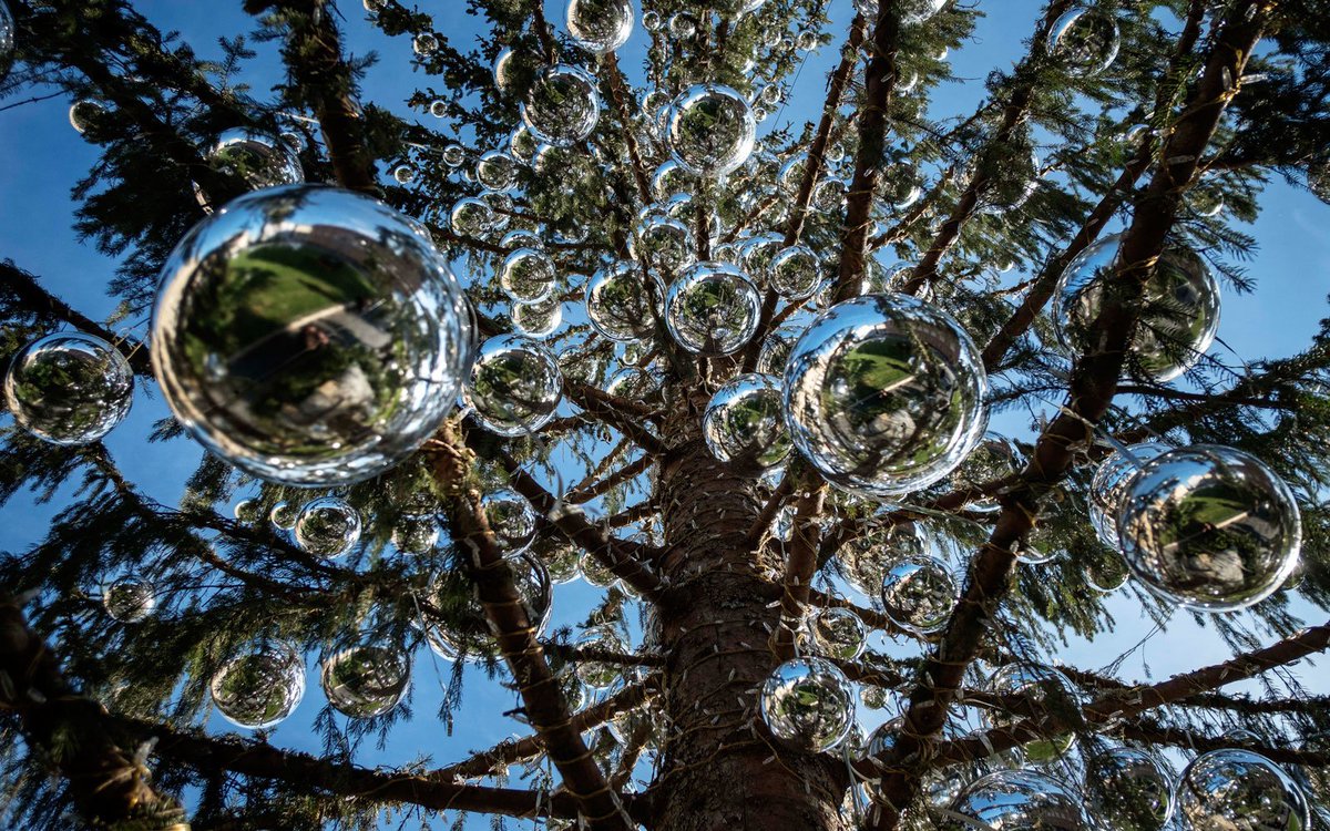ShareARoom's tweet photo. Rome's Christmas Tree Cost More Than $50,000. And People Can't Stop Making Fun of It https://t.co/hqR6r5NxKd https://t.co/39wqxbxDY6