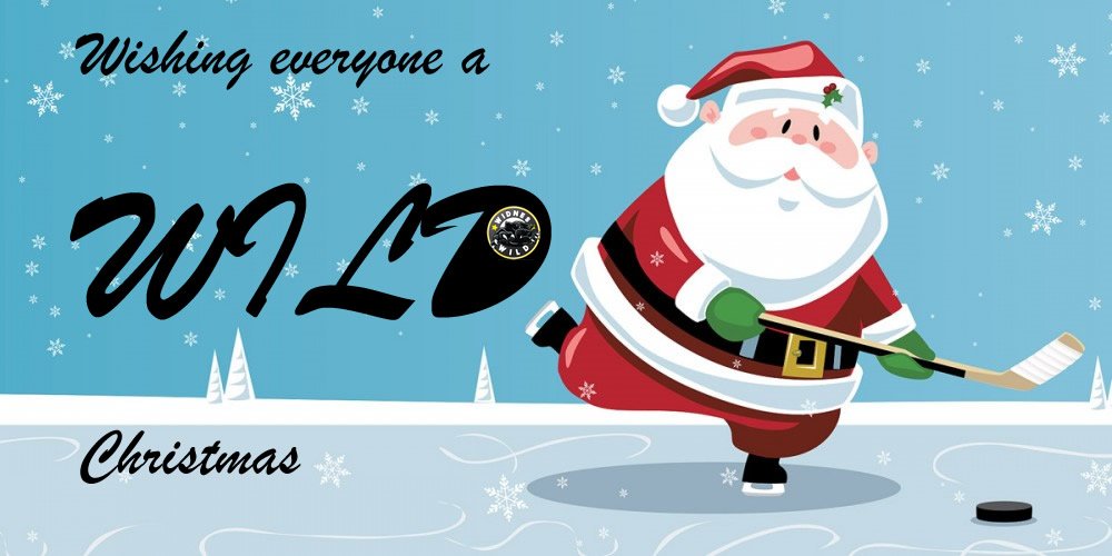 WidnesWild's tweet photo. Wishing all our fantastic sponsors a wonderful Christmas @WidnesWild @byUmami @HPT_Panels @UKSepsisTrust #SprakesandSons #TopPrint https://t.co/H4d1FpKY2I