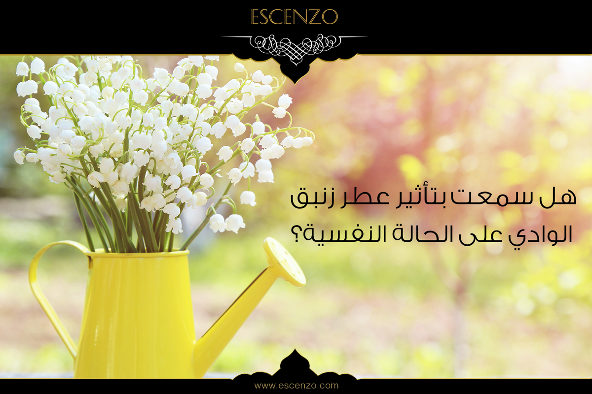 escenzo's tweet photo. تأثير العطر على المزاج والحالة النفسية:
عطور زنبق الوادي هي من العطور الفرنسية.  الزنابق زهور حساسة ومشرقة تعطي لمحة خضراء مختلفة، ومن المعروف أنها تساعد في الحد من التوتر وخفض القلق، مما يجعله الخيار المناسب لك في أي وقت. https://t.co/JZcycUl350