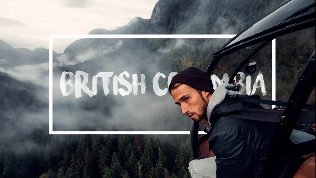 sam kolder tweet media