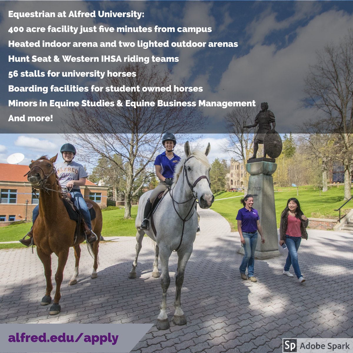 Admissions_AU's tweet photo. Equestrian at Alfred University! #AlfredU https://t.co/SCr8XNRRjL