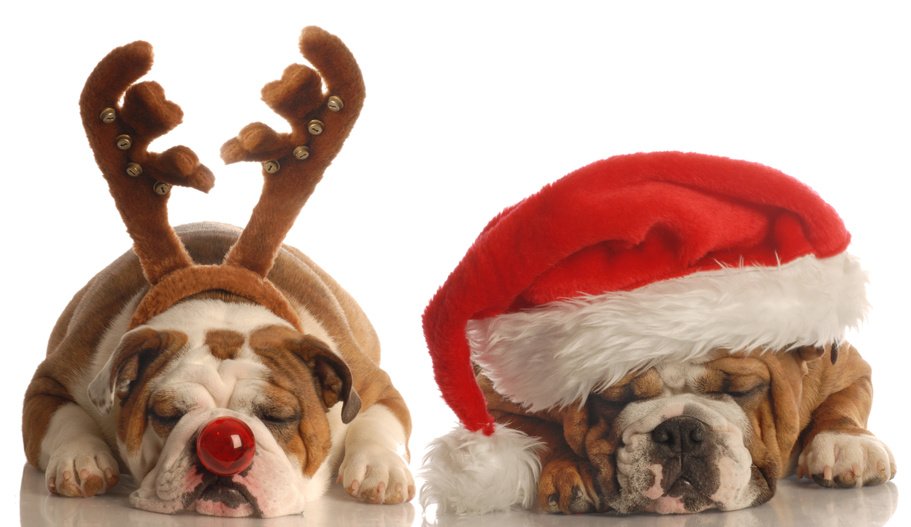 AgapeDSM's tweet photo. Agape will be closed December 22-26. We will be open again Wednesday 12/27 at 10:30! Merry Christmas! https://t.co/DgcmXrS2v2