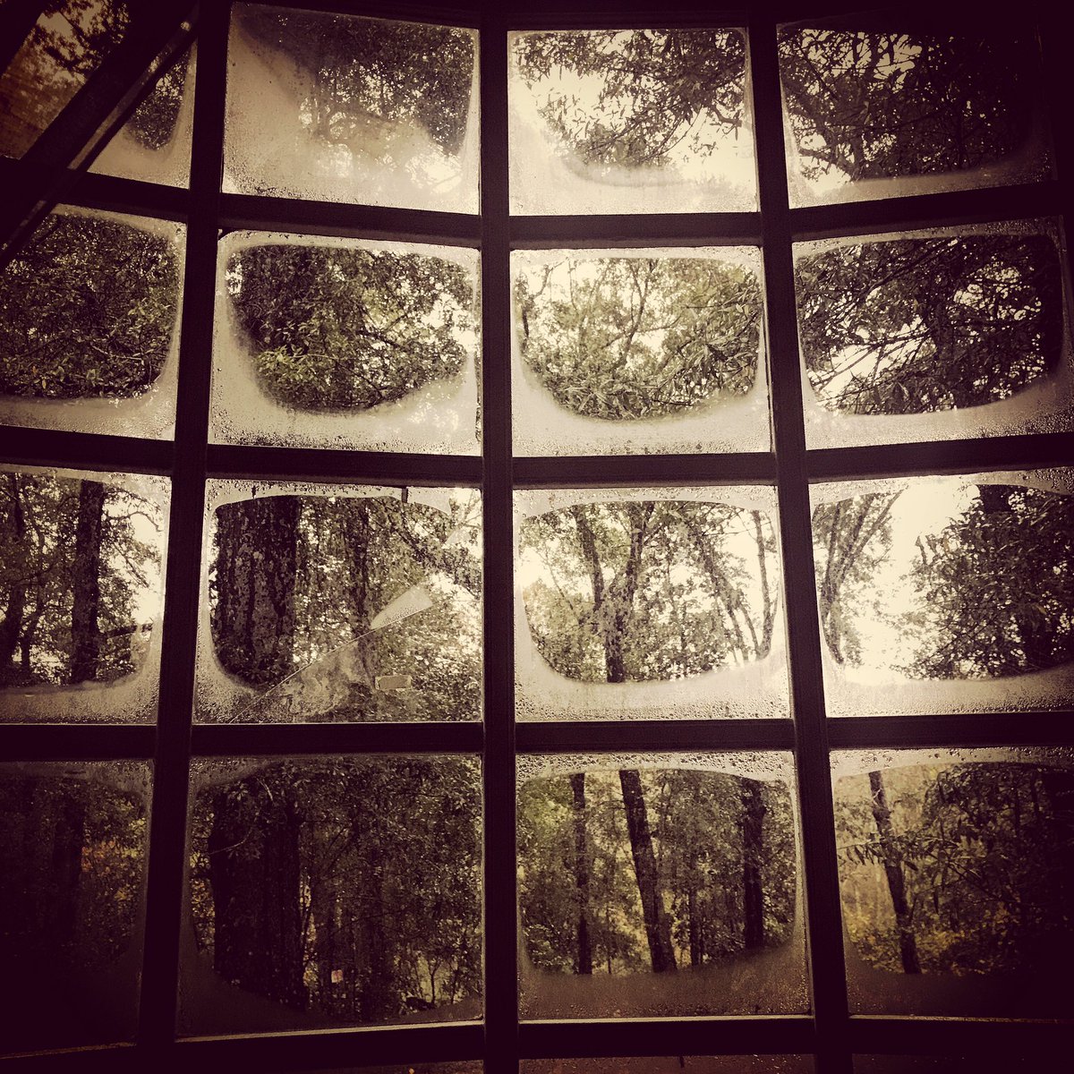 white_tyrone's tweet image. The very existence of breath in one's lungs requires an expression of gratitude. 

In other words...

If there is a breath there ought to be a praise!
#lightreflections 
#Hallelujah