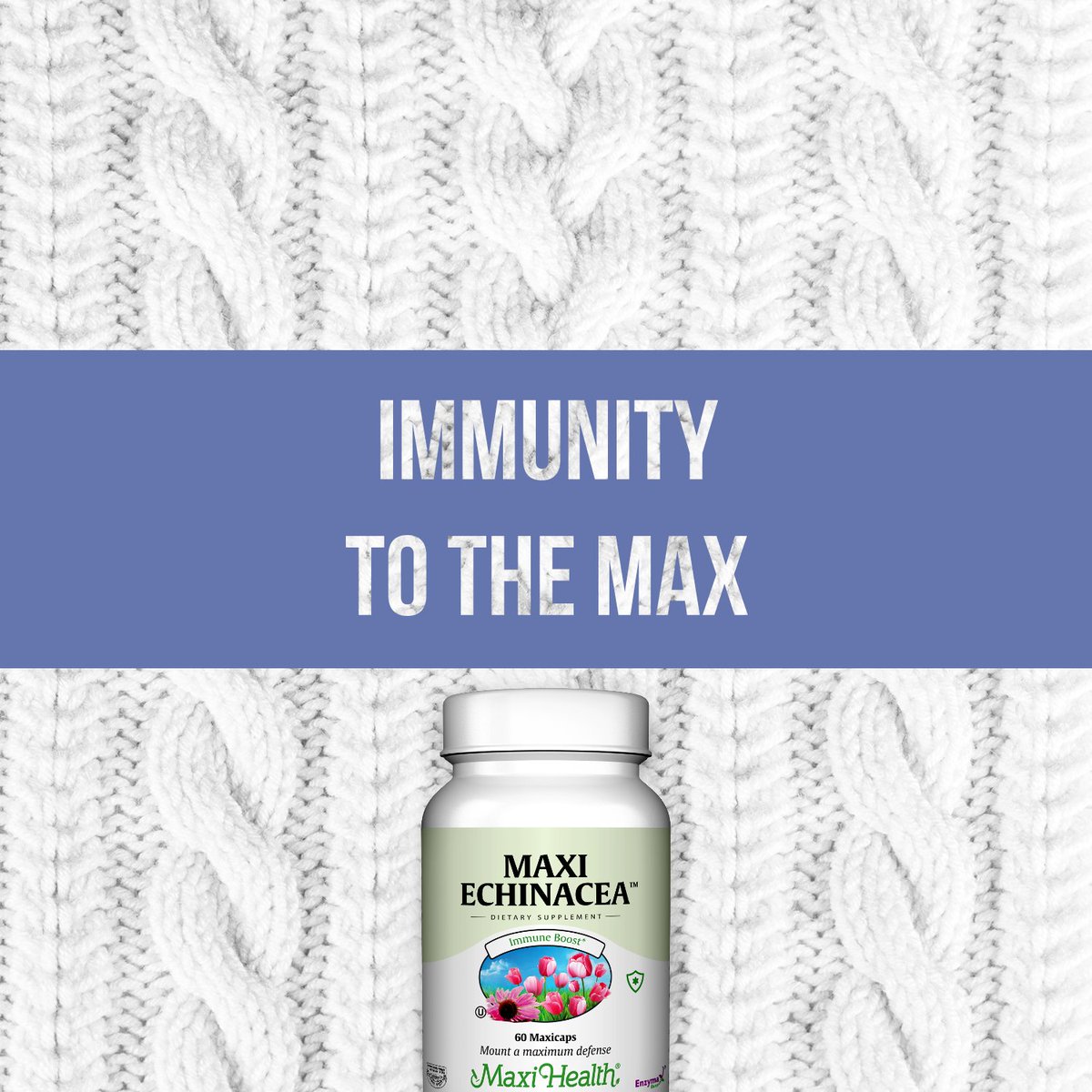 MAXIHEALTH's tweet photo. Get through winter healthy with the support of Maxi Echinacea. https://t.co/kOTo8zsGvf https://t.co/dHnPbWaXbC https://t.co/hWVIOwMI6Y