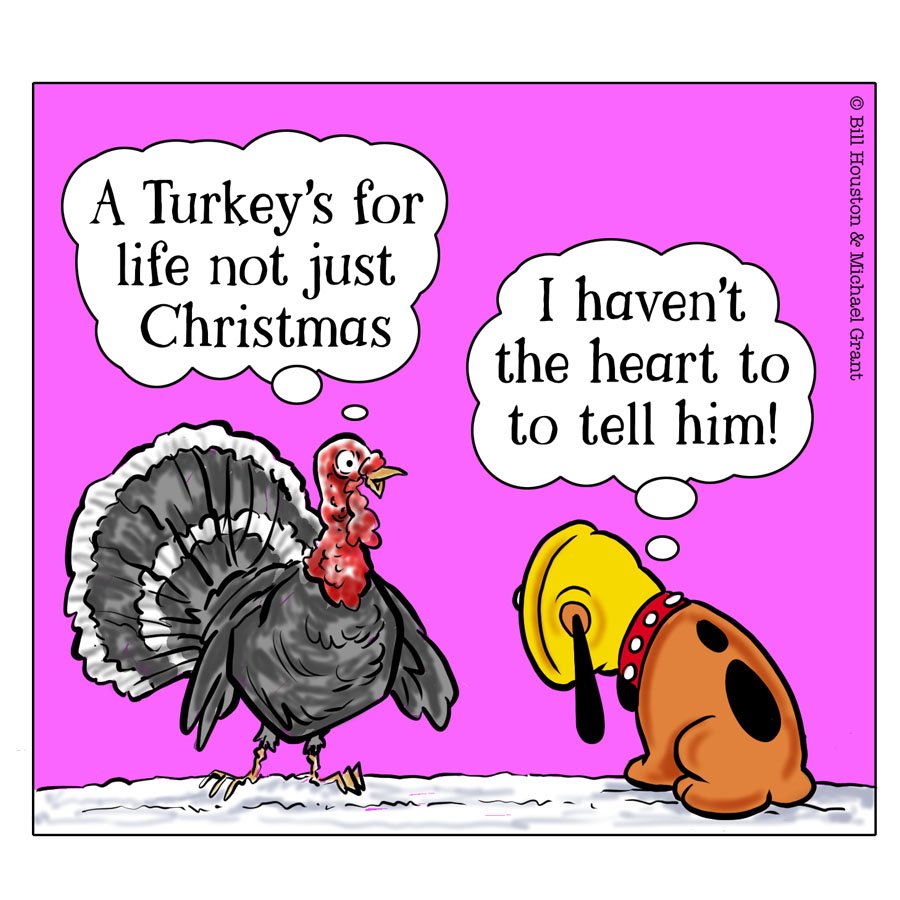 hackmanthedog's tweet photo. Turkey Time!
#gobblegobble #xmasjoke #christmasjoke #twitterdog #twitterpet #comic #comicstrip #illustration #hacktag #turkey #christmasdinner https://t.co/H5H0t1vi4z