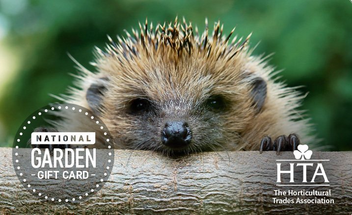 Hands up if this is the year you are finally going to make the garden look presentable. 🙋‍♂️🙋‍♀️

Why not let us give you a helping hand with 10% off The Horticultural Trades Association!

bit.ly/2DmlMXA