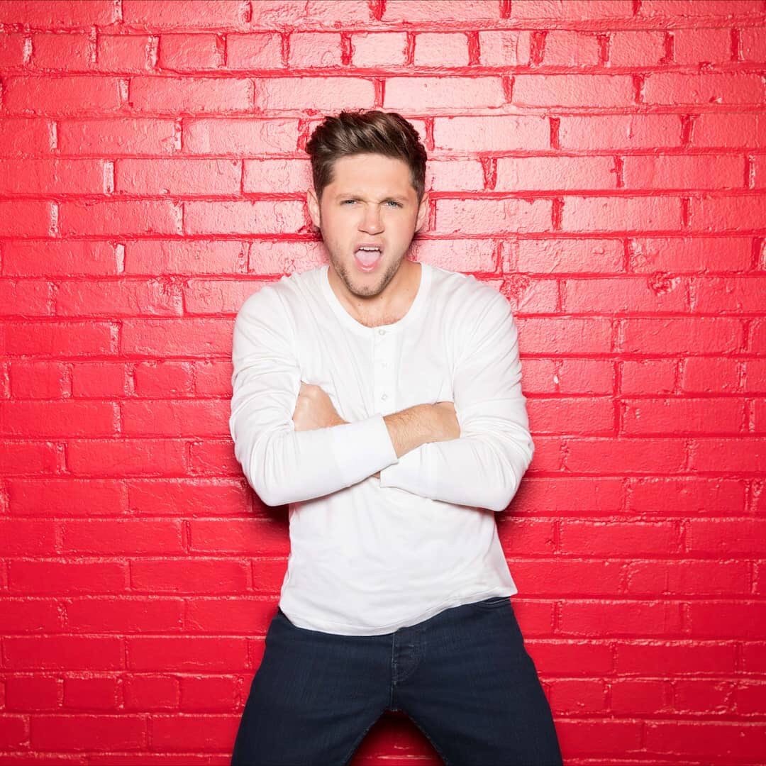 FlickerWTParis's tweet photo. #ModelNiall woaw https://t.co/Pnx9yplnjJ