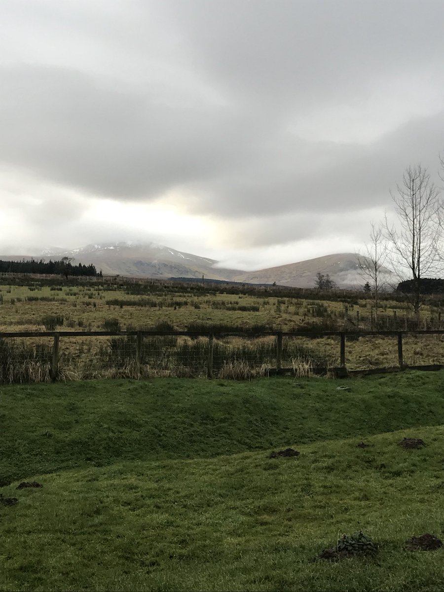 Office view, northern lakes, low cloud, high spirits 🎄