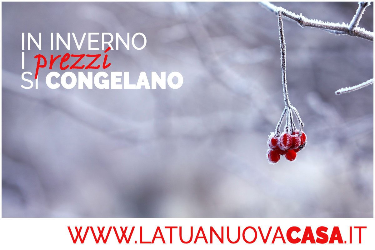 latuanuovacasa's tweet photo. #oggi #21Dicembre è il #primo #giorno d' #inverno e per l'#emisfero #boreale sarà la #notte più lunga dell'#anno
#estate o inverno sul nostro #sito #internet i #prezzi dei nostri #immobili sono #congelati tutto l'anno!
Scopri tutto su:
https://t.co/PEj83YlQbE https://t.co/EFsfm4vHX7
