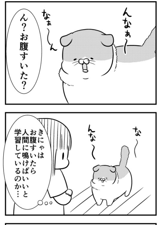 猫のきにゃと、ごとうさん(144) 野性力  #マイナビニュース
連載更新されました。2コマ目豚みたいなきにゃ描けた❤️ 