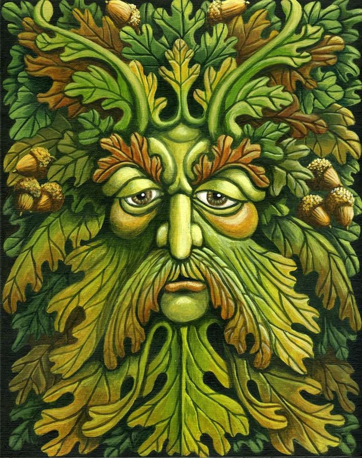 localnotail's tweet photo. Soon comes the Yule battle between Oak (King of waxing year) &amp; Holly (King of waning year)
#FolkloreThursday

Looking forward to returning to the sun
#WinterSolstice #ShortestDay https://t.co/q1EQoj4UN2