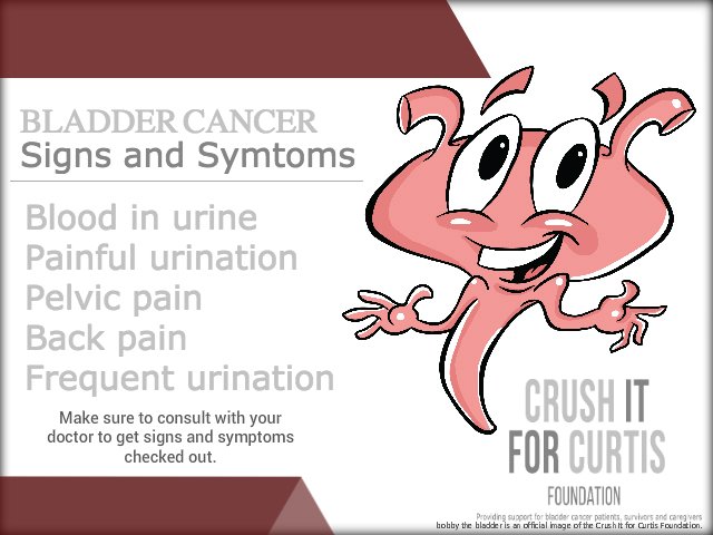 bladdercaUS's tweet photo. Know the signs and symptoms of #bladdercancer Make sure to consult with your doctor to get signs and symptoms checked out. It may also be recommended to see a Urologist who is a medical professional who specializes in disorders and cancers of the bladder. #earlydection https://t.co/6oN8ztlARK