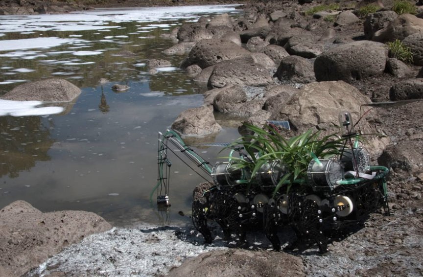 Digitalarti tweet media