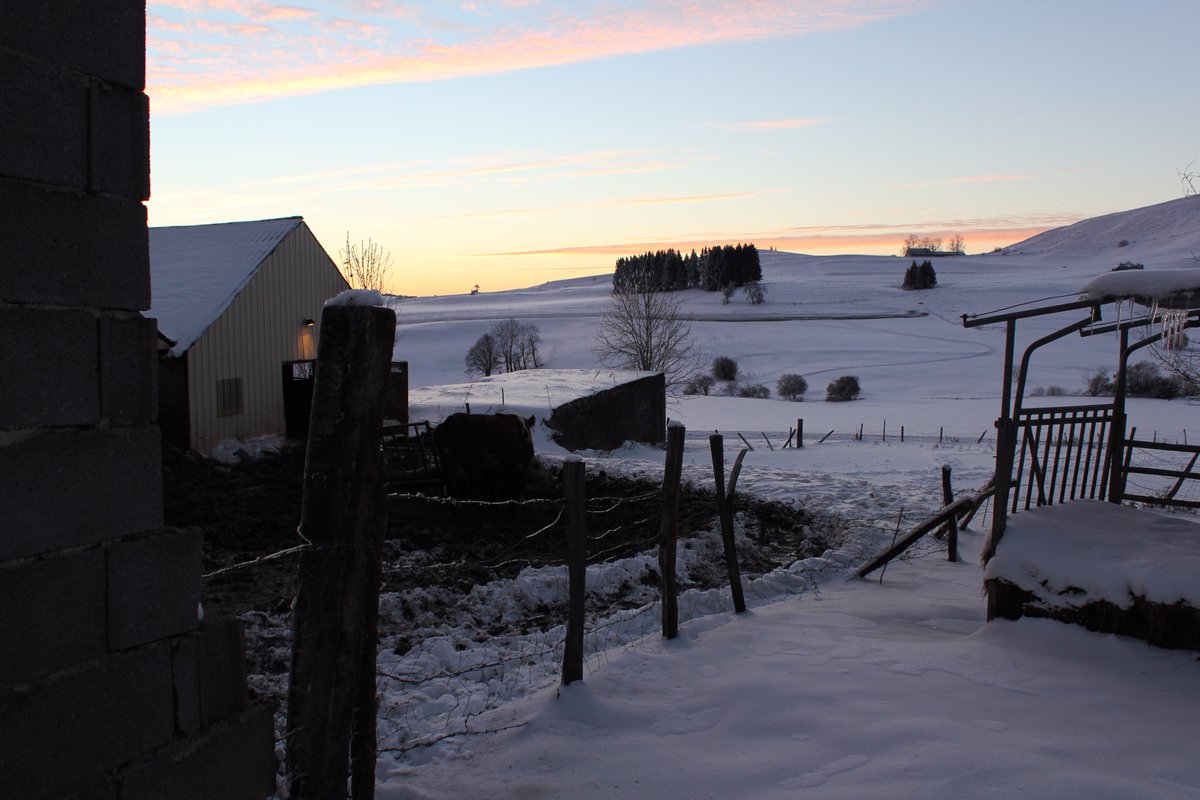 C'est l' #hiver ! On profite des beaux paysages et on rentre à l'étable quand on a trop froid ;)
#laitplaisirs