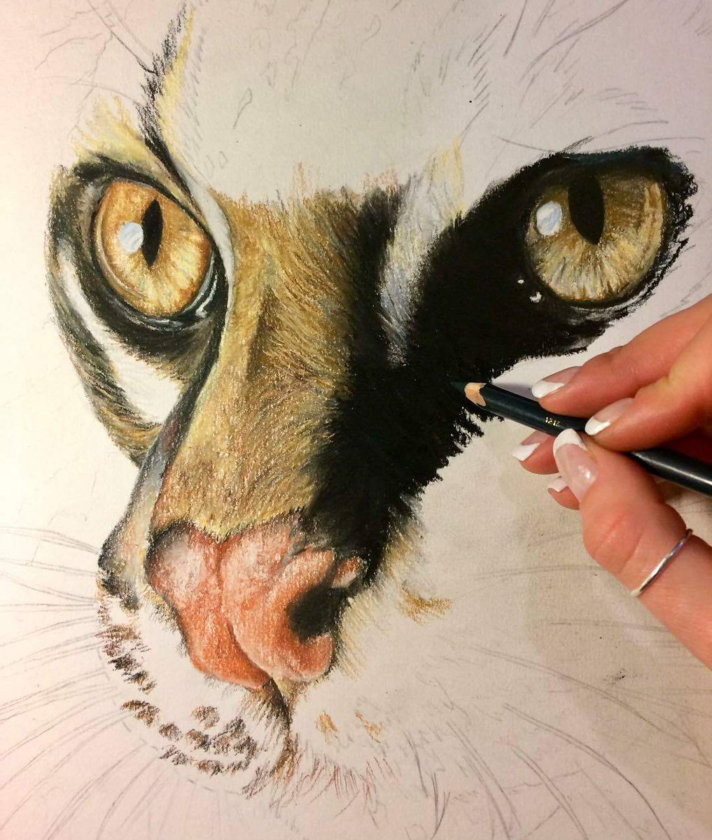 limewitofficial's tweet photo. #ArtoftheDay #LIMEWIT
Artwork by AF - Fine Art

Submit your Tales/Poems/Photographs/Artworks at: https://t.co/QiobD4gbM3

#art #artists #artgallery #dailyart #arthub #artcollective #drawings #sketchoftheday #art_daily #art #sketchbookpro #art_gallery https://t.co/Maxd8fDpgM