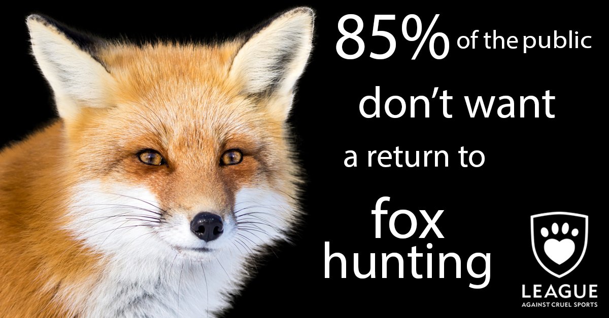 LeagueACS tweet picture