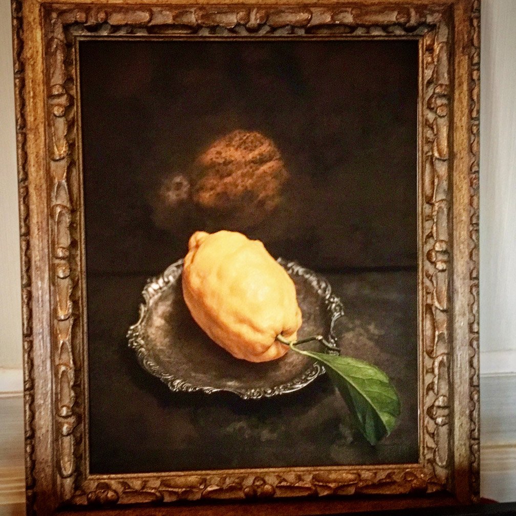 ALJenkorenko's tweet photo. ALLAN JENKINS FINE ART PHOTOGRAPHY #stilllife #ƒineart https://t.co/HTACH0WgCs