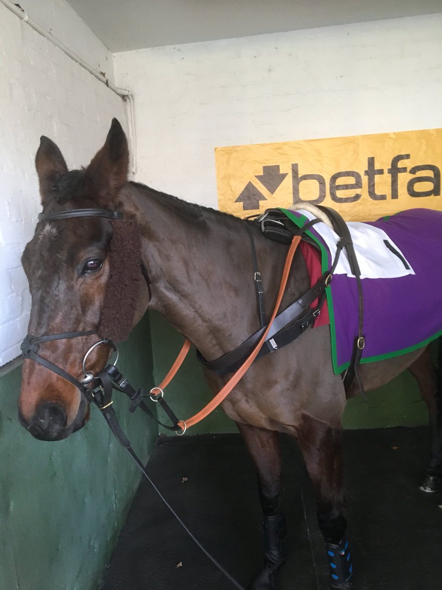 RodTrow's tweet photo. 2/2 Royale Knight retires. Thanks to owners Chris Stedman and Rob Corsan, the Newland team &amp; winning jockeys: @AP_McCoy @tjobrien12 @WTKJockey @chris___ward @Dazjacob10 @samtwiston - a truly wonderful warrior of a horse. https://t.co/lRrvTEa9Sk