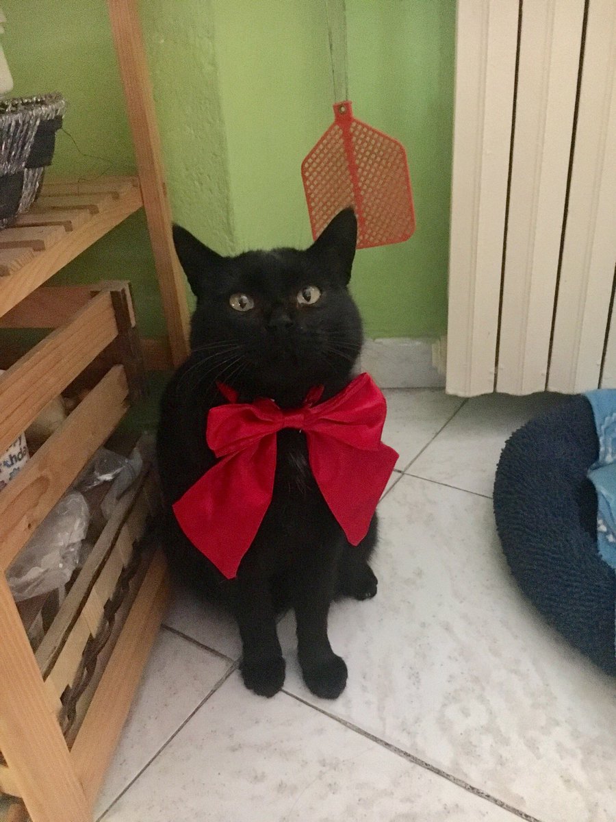 giulsupernova's tweet image. È successo