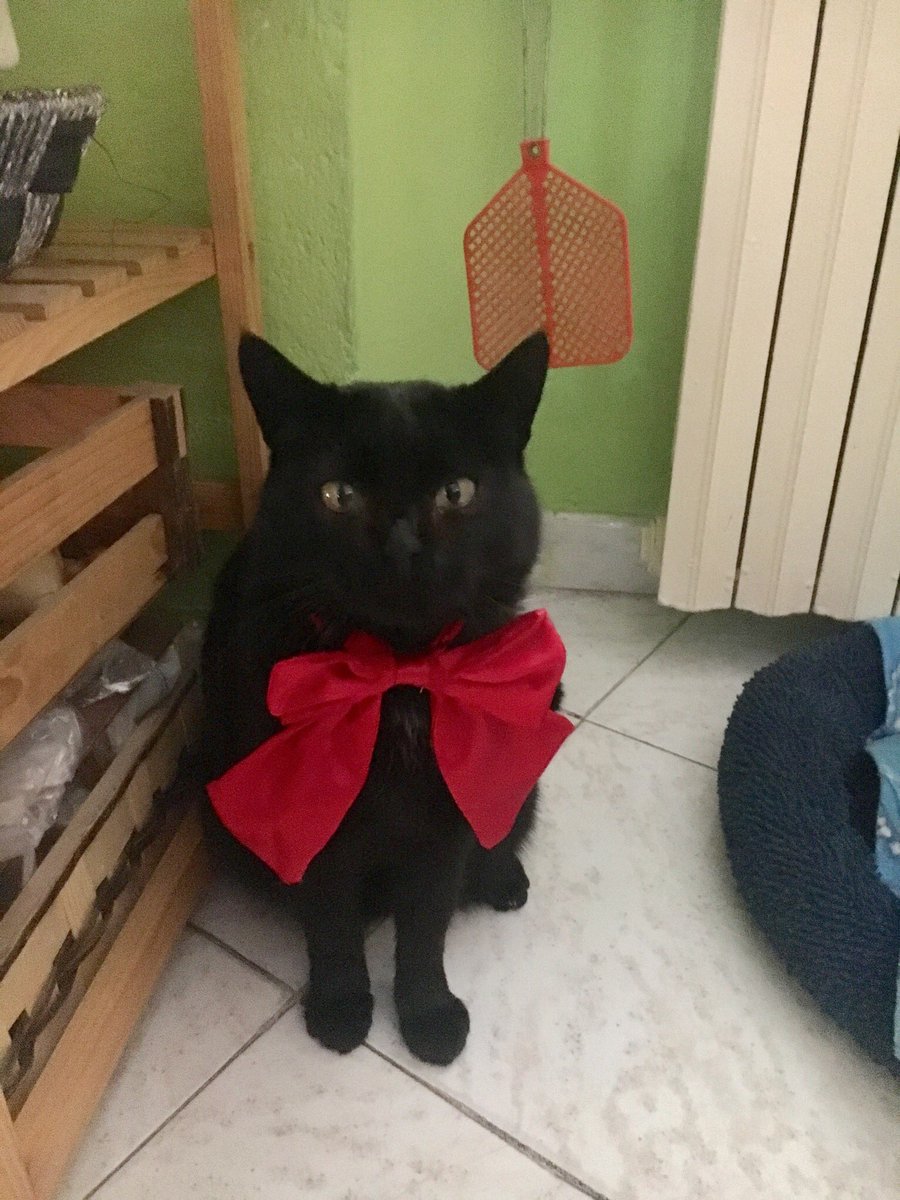 giulsupernova's tweet image. È successo