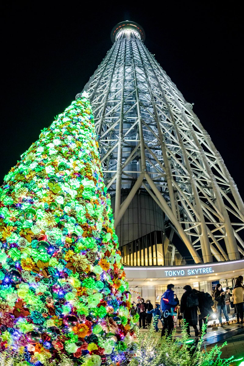 Yuji Shibasaki＠Photo on X: 