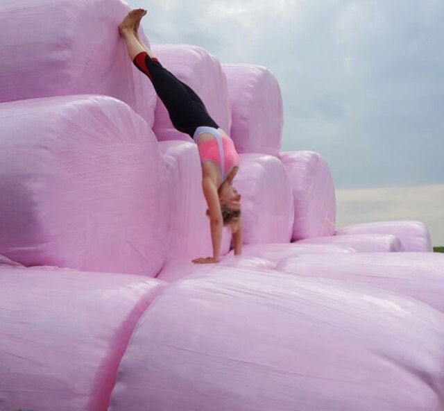ecosyl_'s tweet photo. We LOVE this! 😍 Check out yoga loving @dancemovebe working these #PinkBales! #WrapPink #BreastCancerAwareness #YogaFun https://t.co/dhDZE1a8Mn