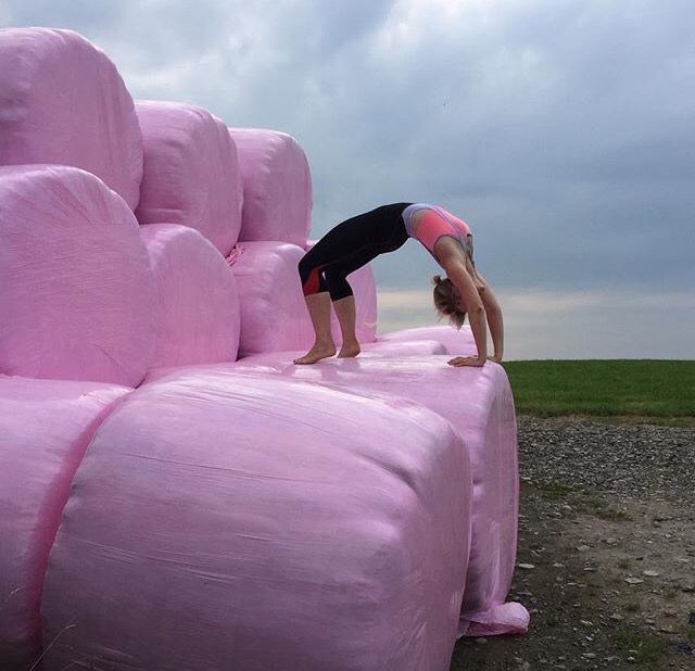 ecosyl_'s tweet photo. We LOVE this! 😍 Check out yoga loving @dancemovebe working these #PinkBales! #WrapPink #BreastCancerAwareness #YogaFun https://t.co/dhDZE1a8Mn