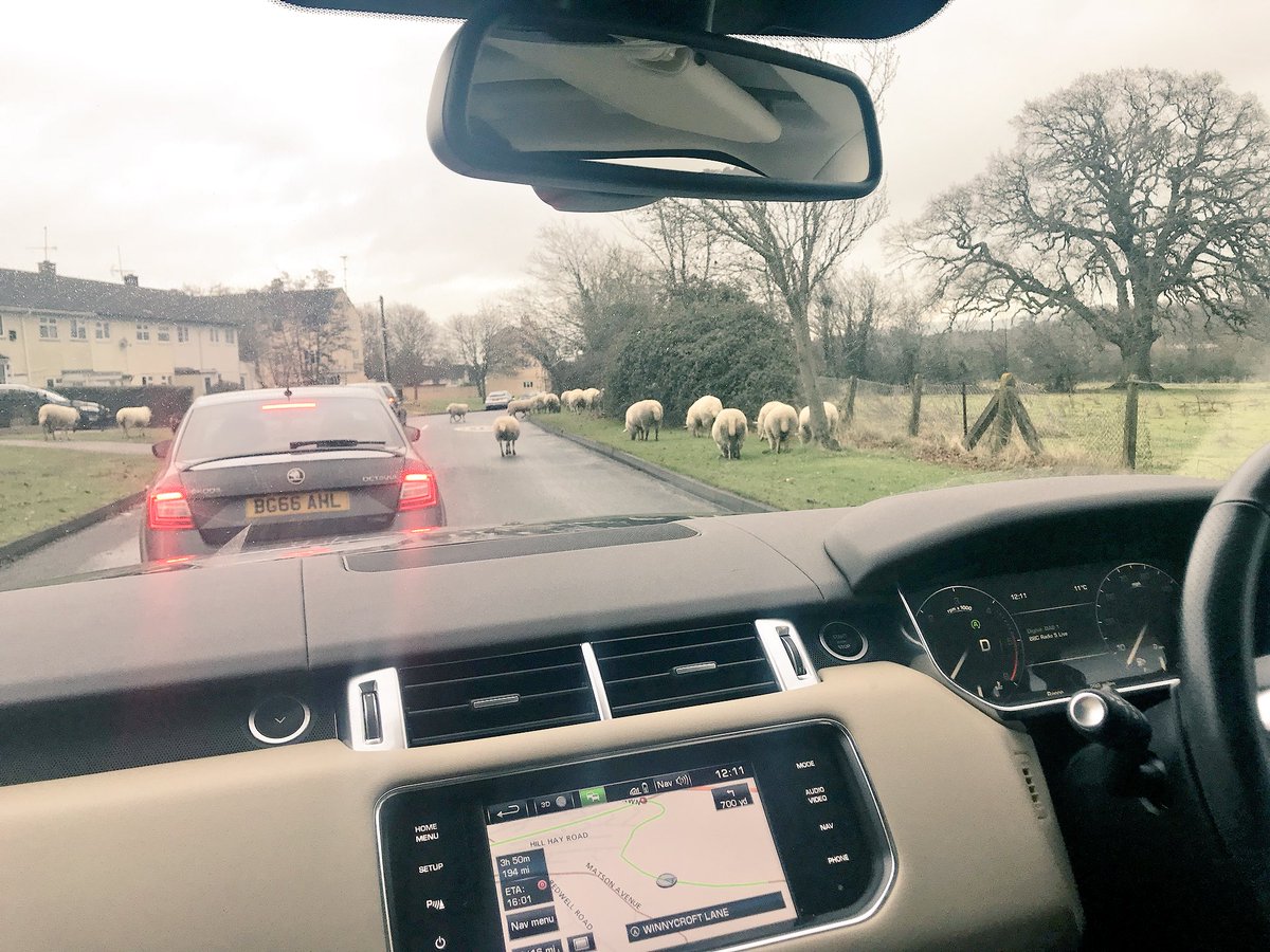 rachelthorntonA's tweet photo. Road trip back from an early pitch in Bristol is halted temporarily by wooly pedestrians...#gloucestershire #backcountry @commsdad @jezpetty @scarlettabbott #sheep #baaaaaah https://t.co/9gnr0lkcFr