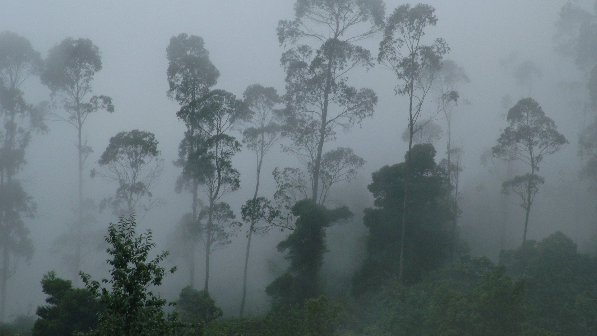 Humid weather