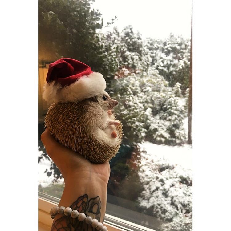 Thursday 21st December, 2017