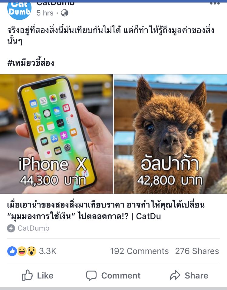 chugapyn's tweet photo. ละกูจะเอาอัลปาก้ามาทำมายยยยยยยยยย https://t.co/2hqYdptBmQ