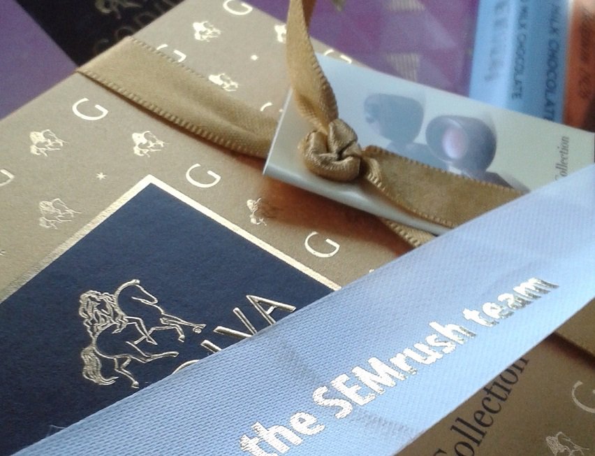 yellowdolphins.com tweet media