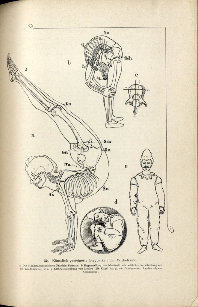 ファイファーの教科書には、衣服の作図と人体の対応関係のみならず、側弯症やトレンデレンブルグ兆候などの病態や、添付したような特殊な可動域の図まで掲載されている。美術解剖学よりも医学寄りの内容。#衣服解剖学 