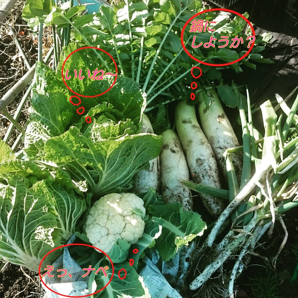 マサヒロ　in Wonderland (@a_gm55) on Twitter photo 