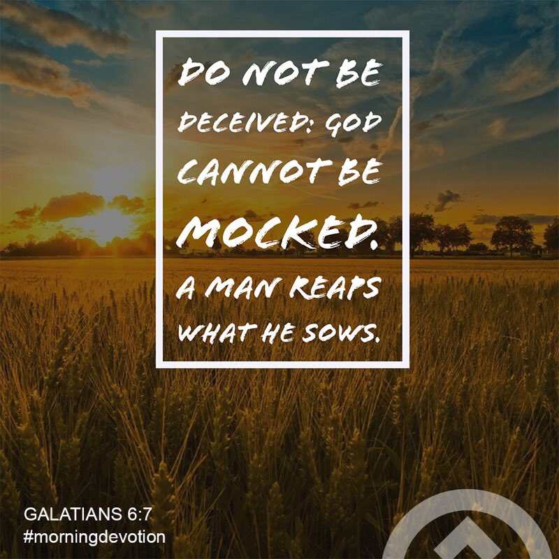 JubileeBoston's tweet photo. 𝐒𝐎𝐖𝐈𝐍𝐆 𝐯𝐬 𝐑𝐄𝐀𝐏𝐈𝐍𝐆 🌾
Do NOT be #Deceived #Fooled #Naive ... #NOBODY can #Mock #Clown #Disregard #GodsPrinciples #Precepts #Teachings.
What a person #PLANTS, he/she will #HARVEST.

#JubileeBoston #iamjubilee
#Scripture #BibleVerse 
#MorningDevotion https://t.co/nLcYjIX4cx