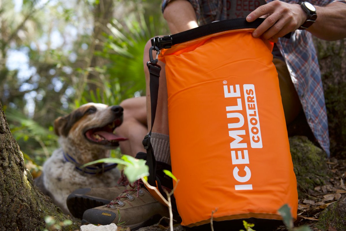 Public Service Announcement: Your dog likes cold drinks too