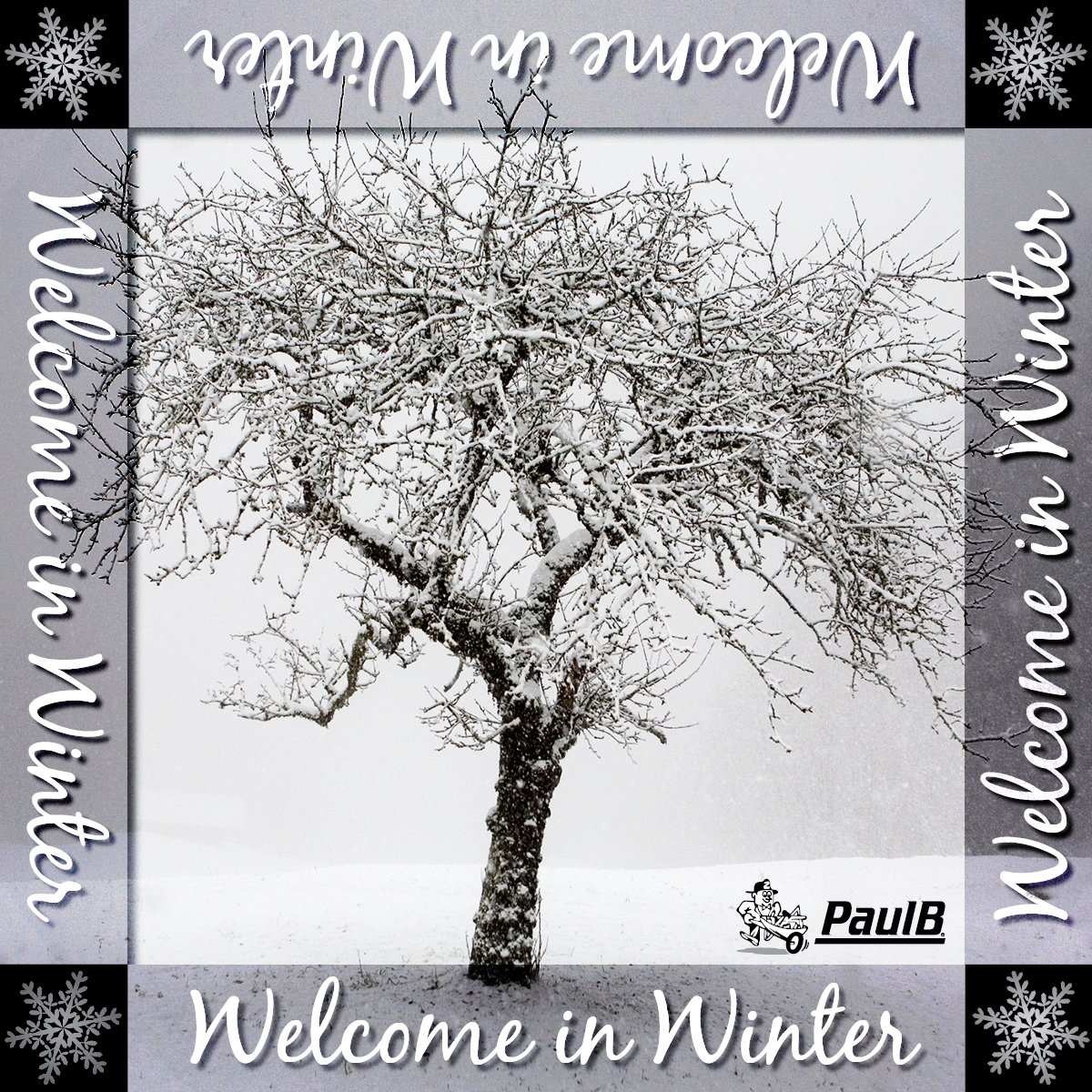 PaulBHardware tweet media