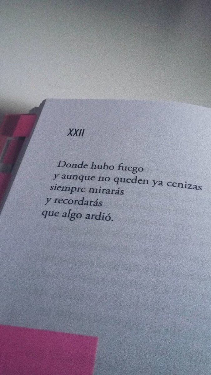 Melicvuarg's tweet photo. Algo tenía que subir, sorry. #PorSiempreVondy https://t.co/VtQLRIDkw6