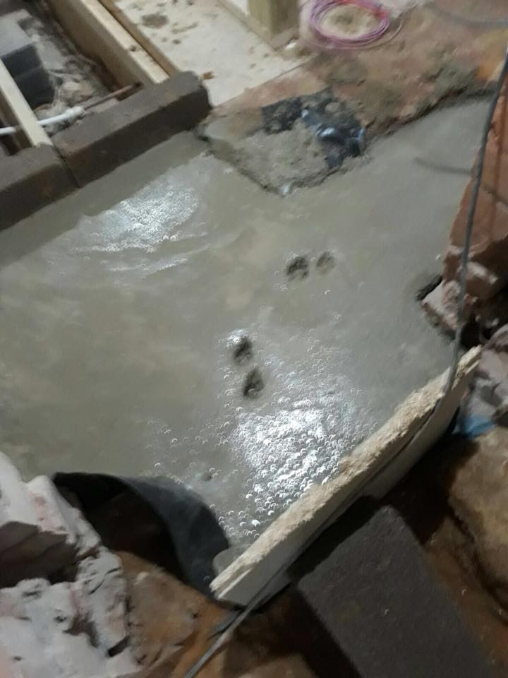 MarkLeecarp's tweet photo. Not what you need in setting concrete - #dogsatwork not always helpful! #epicfail #oops #building https://t.co/tevyKgsUBQ
