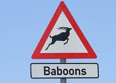 MercuryPhillips's tweet photo. Its nearly Christmas! Here is a few funny signs to give spread some festive cheer! https://t.co/6BMkfyB1pU #Signage #ChristmasCheer #NorwichChristmas https://t.co/KcIMenWTKs