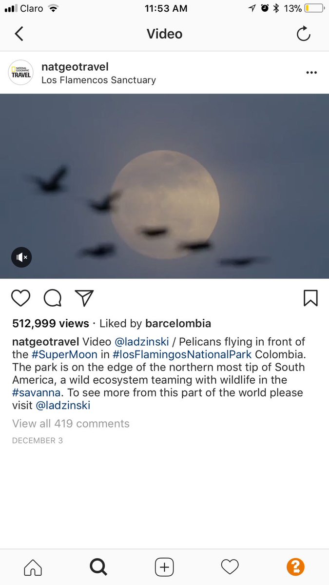 guerrerorozco's tweet photo. ¡8,7 millones de vistas suman en total, en la cuenta de @NatGeo, las publicaciones del proyecto de aves de @keithladzinski en @Colombia! #ColombiaEsSabrosura @PROCOLOMBIACO https://t.co/FQtZEdSSGG https://t.co/bNfwMhqRYZ