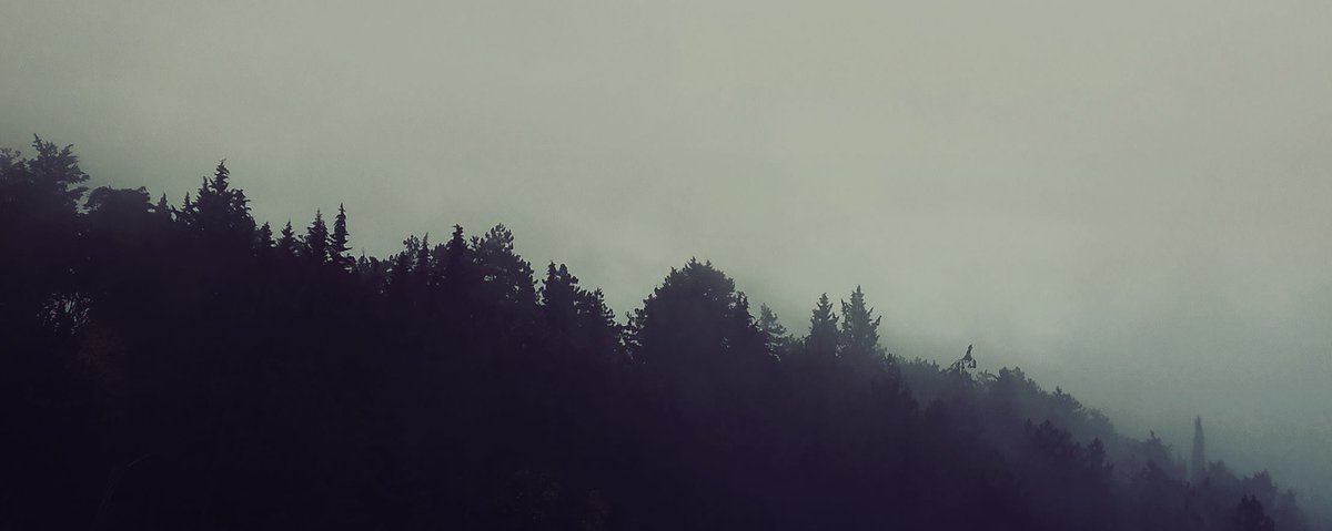 Embracing the Majesty of Winter, refreshed by this Magic Night, we wish you Life, Strength and Hope!

"Cold...my Glance as Ice will strike
as I reborn!"

#vinterblot #blackmetal #deathmetal #paganmetal #winter #vinter #forest #woods #mist #fog #magic #night #metal #italy