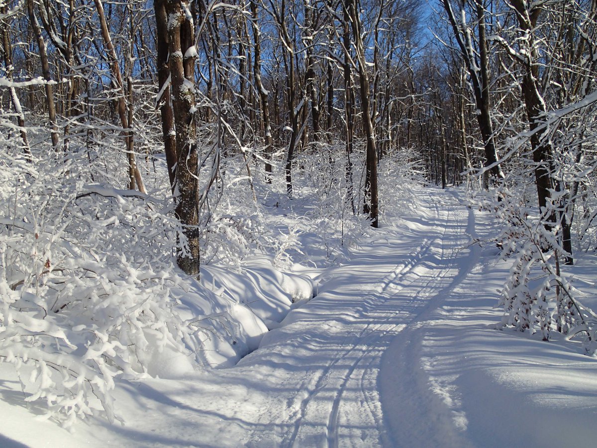 Pennsylvania On Twitter Winter Is Truly A Magical Time Of Year In Our Commonwealth Happy Firstdayofwinter Pennsylvania